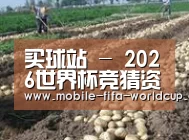 种植基地八