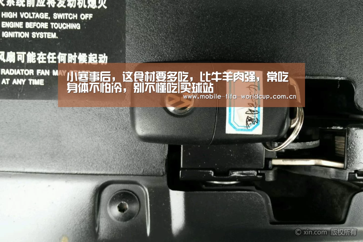 小寒事后,这食材要多吃,比牛羊肉强,常吃身体不怕冷,别不懂吃|买球站(图1) 买球站